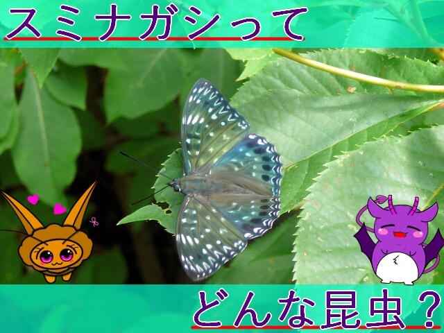 Thumbnail of post image 182